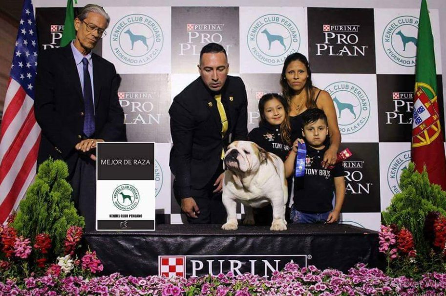 Multi CH LA CHATA TOUCH OF FROST