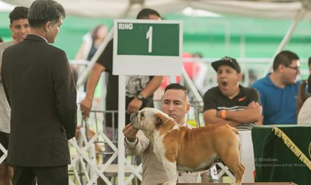 LA CHATA HIGHT QUALITY 