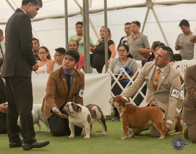 JASMIN DEL BOQUER�N 