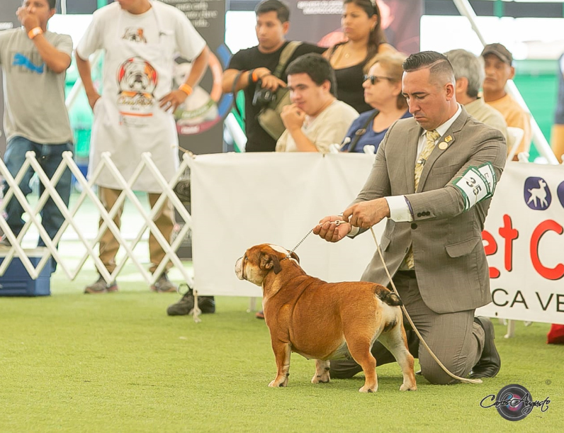 JASMIN DEL BOQUER�N 