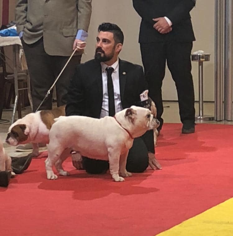 ROBURY BULL TUMBATOROS MELODY