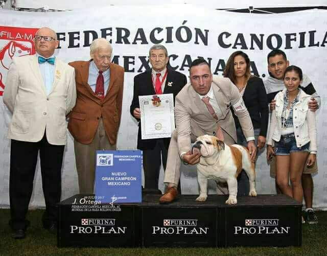 MULTI CH BREDWARDINE LORD ANTONIO GARCEL