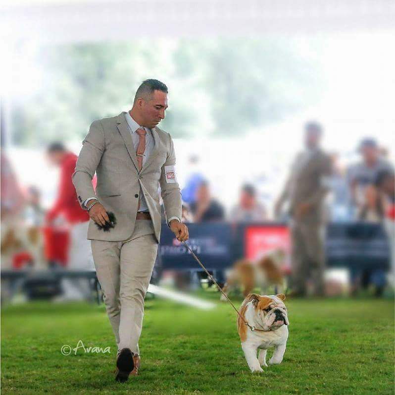 MULTI CH BREDWARDINE LORD ANTONIO GARCEL