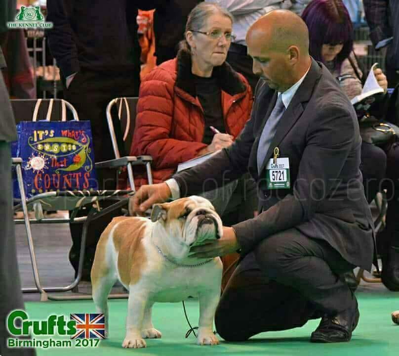 MULTI CH BREDWARDINE LORD ANTONIO GARCEL